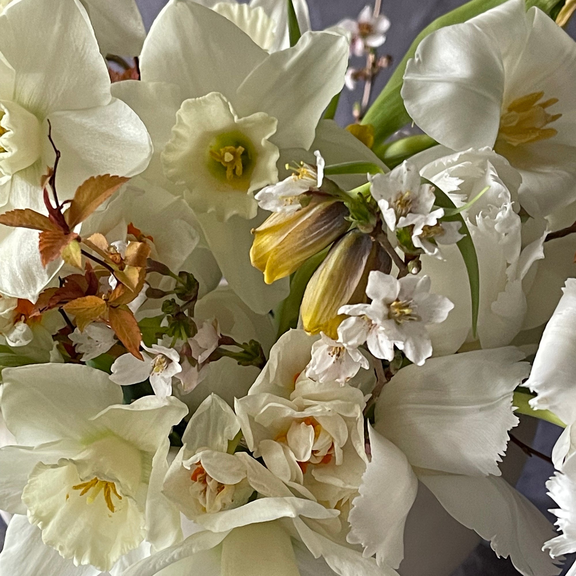 Easter Florals: Thursday 2nd April 7pm-9pm 2026